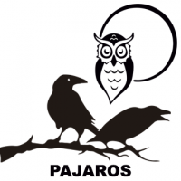 vinilos-decorativos-pajaros